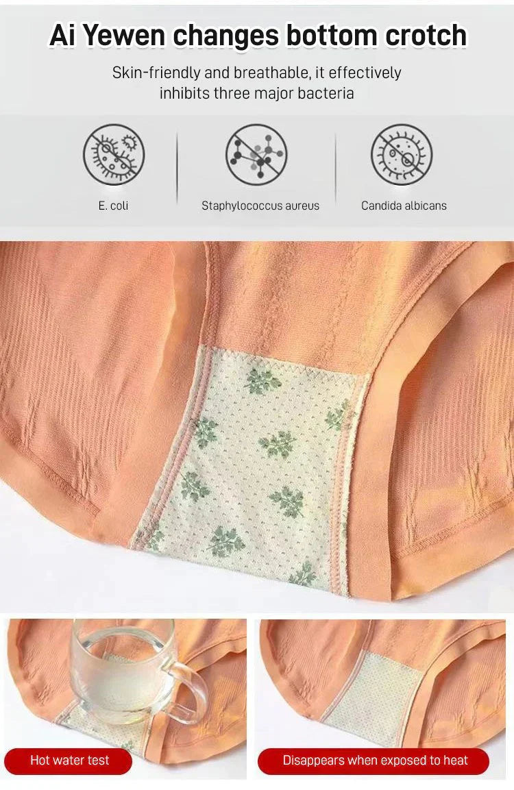 HIGH WAISTED TUMMY TUCK HIP LIFTING NO TRACE WORMWOOD ANTIBACTERIAL PANTIES 